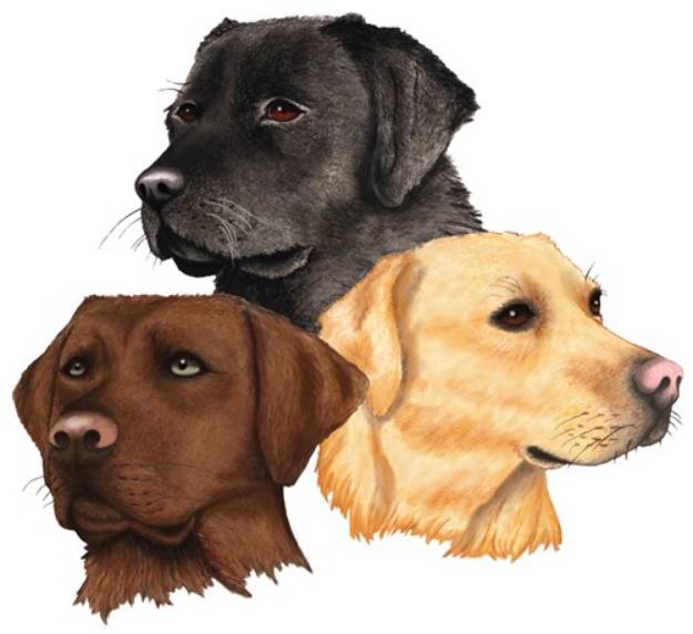Picture of Three Labs SVG File