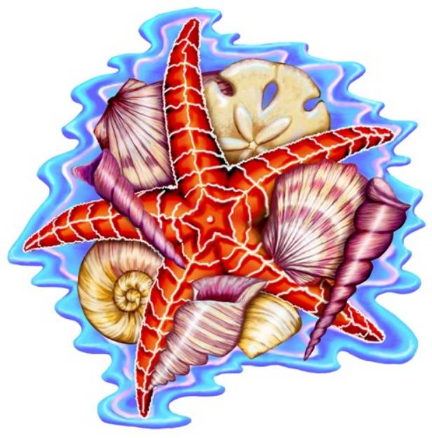 Picture of Starfish Shells SVG File