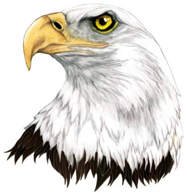 Picture of Eagle Head SVG File