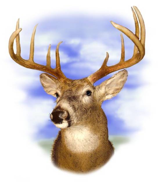 Picture of Whitetail Buck SVG File