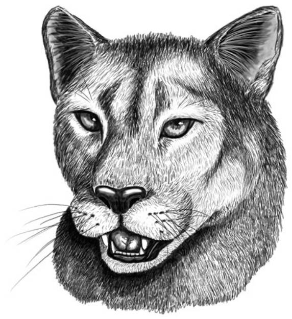 Picture of Mountain Lion (line) SVG File