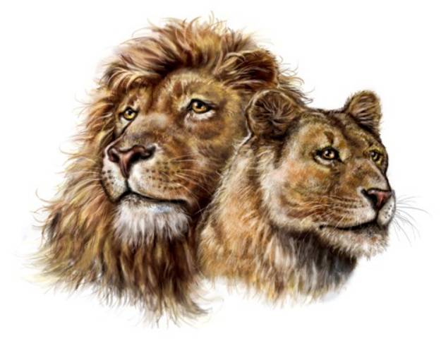 Picture of Lions SVG File