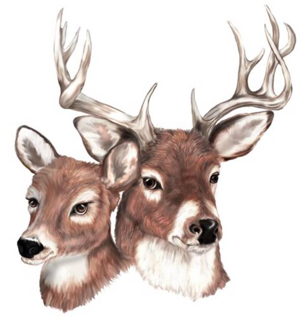 Picture of Whitetails SVG File