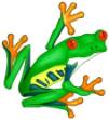 Picture of Red Eyed Tree Frog SVG File