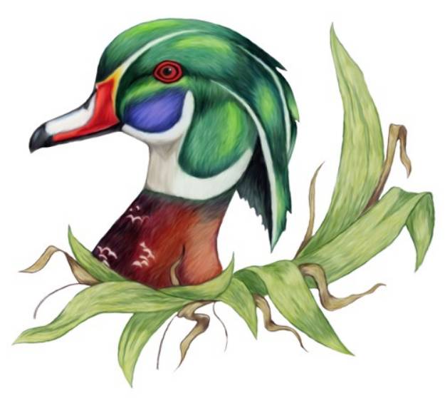 Picture of Wood Duck SVG File