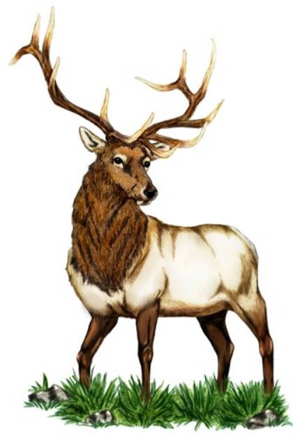 Picture of Elk SVG File