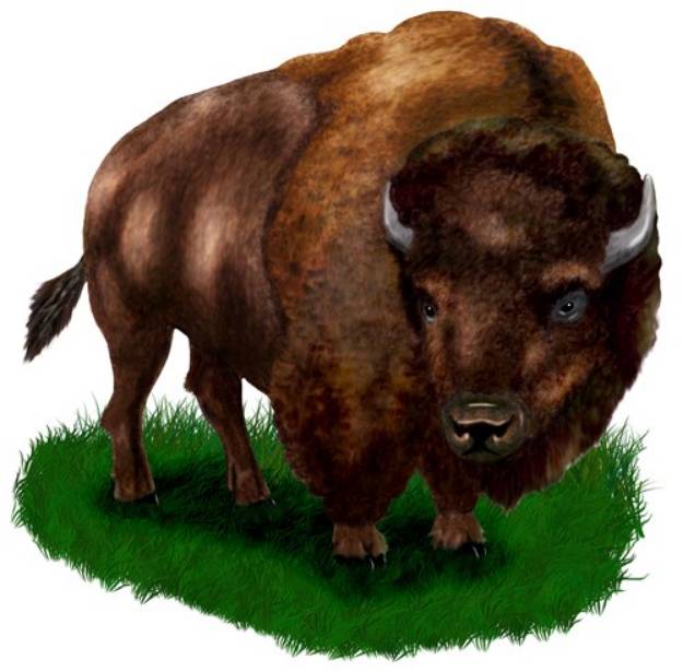 Picture of Bison SVG File
