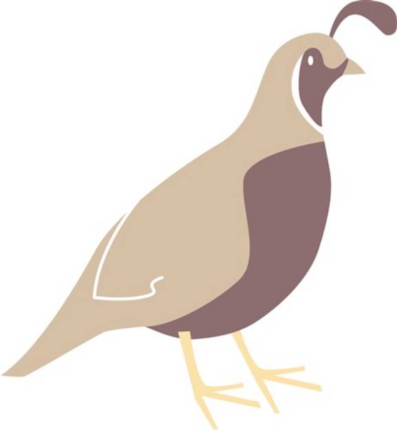 Picture of Quail SVG File