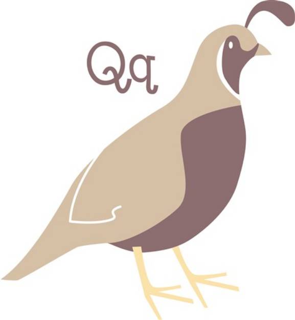 Picture of Quail Q SVG File
