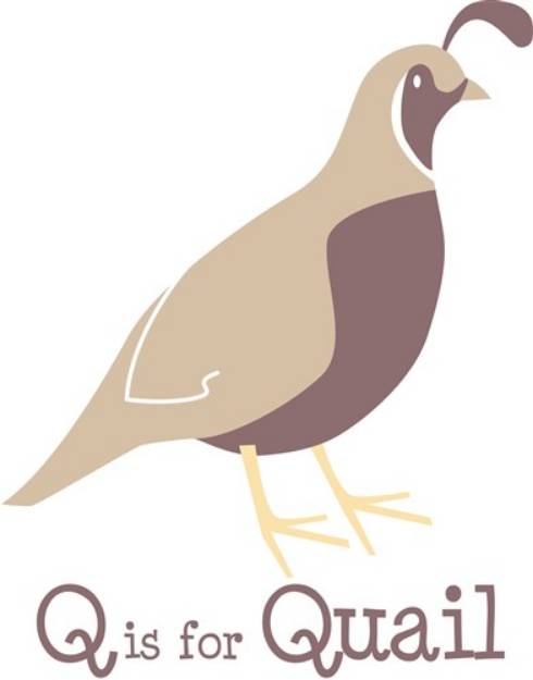 Picture of Q Is For Quail SVG File