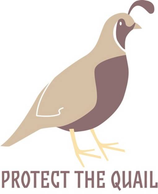 Picture of Protect The Quail SVG File