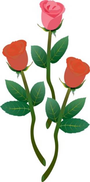 Picture of Three Roses SVG File