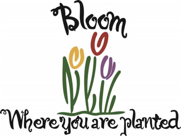 Picture of Bloom Where You Are Planted SVG File