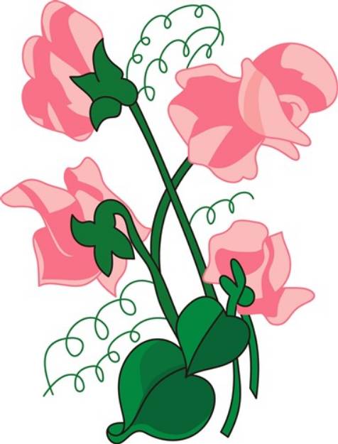 Picture of Sweet peas SVG File