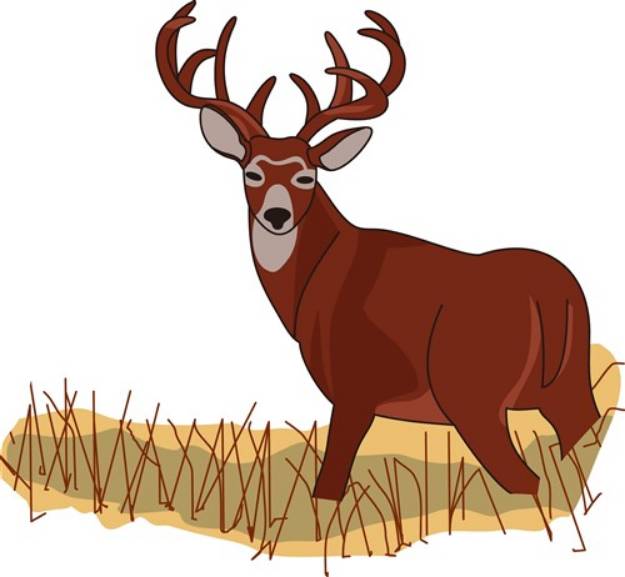 Picture of Whitetail Deer SVG File