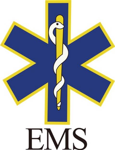 Picture of EMS SVG File