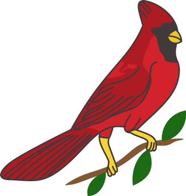 Picture of Cardinal SVG File