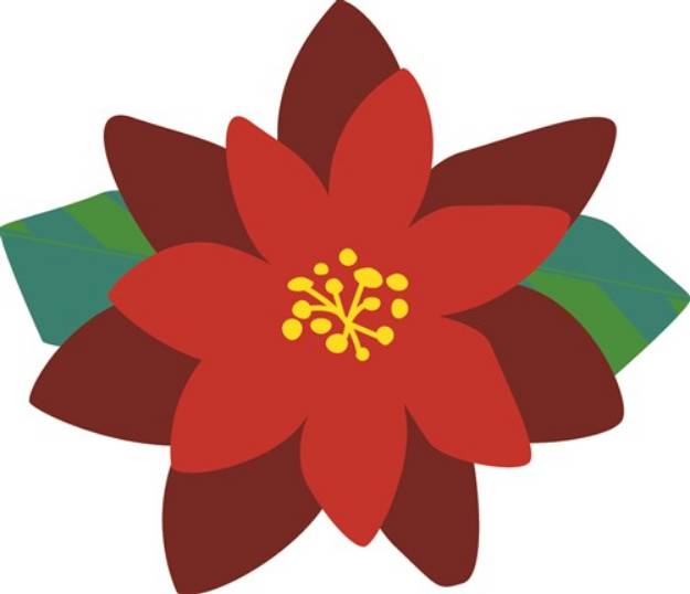 Picture of Christmas Poinsettia SVG File