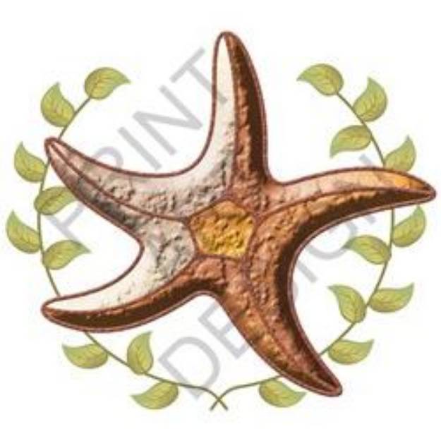 Picture of Starfish SVG File