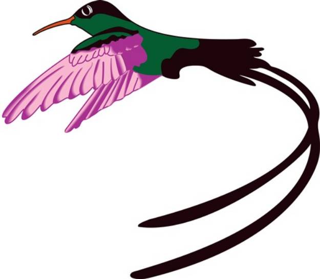 Picture of Jamaican Bird SVG File