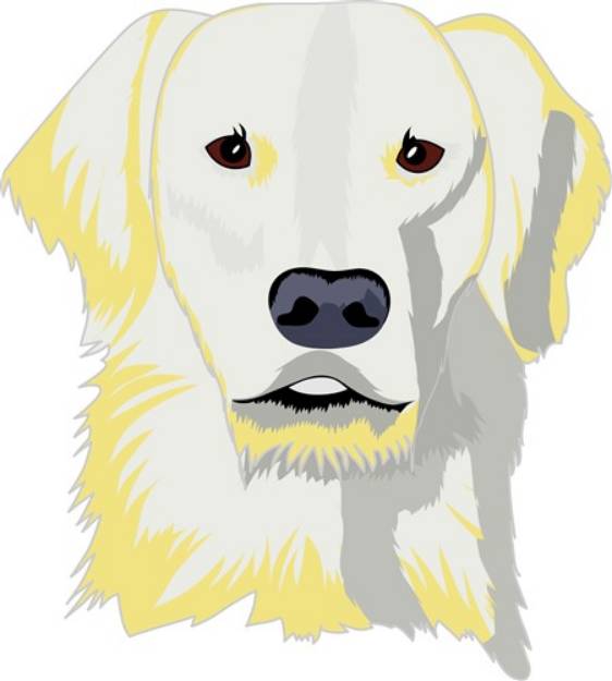 Picture of Golden Lab SVG File