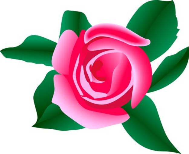 Picture of Pink Rose SVG File