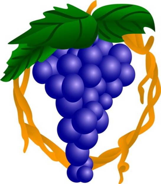 Picture of Grapes On Vine SVG File
