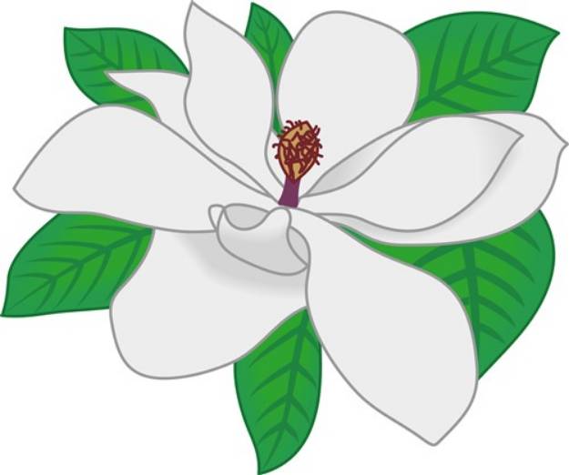 Picture of Magnolia SVG File