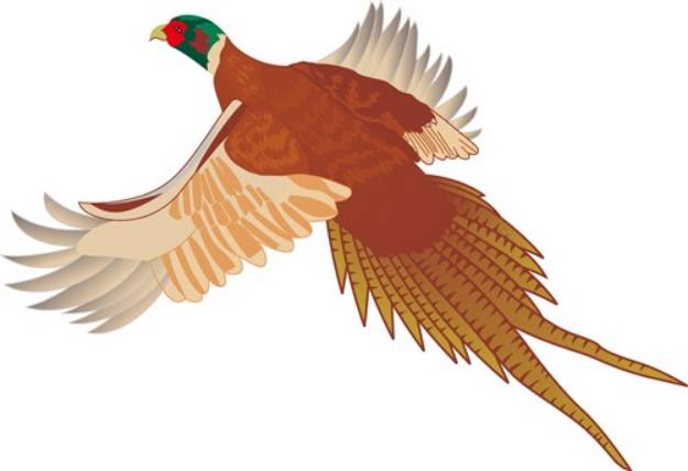 Picture of Pheasant SVG File