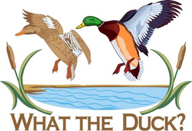 Picture of What The Duck? SVG File