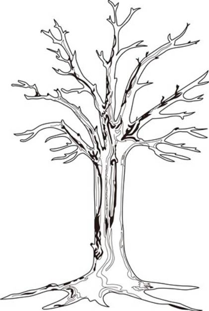 Picture of Tree Outline SVG File