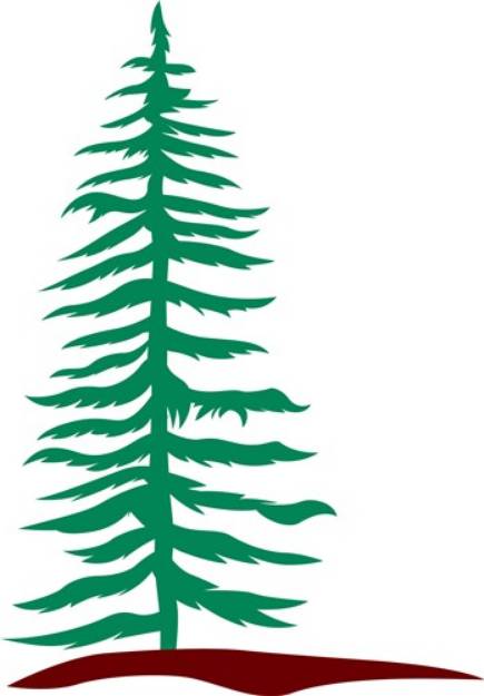 Picture of Evergreen Tree SVG File