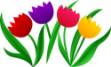 Picture of Tulip Blooms SVG File