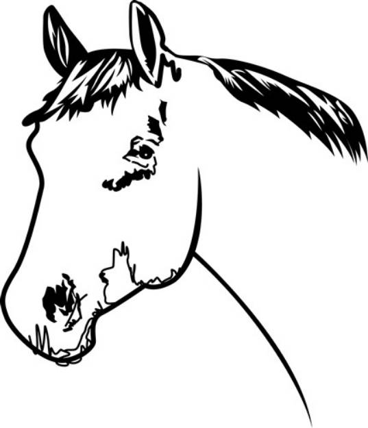 Picture of Horse Head Outline SVG File