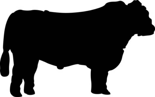 Picture of Black Angus Silhouette SVG File