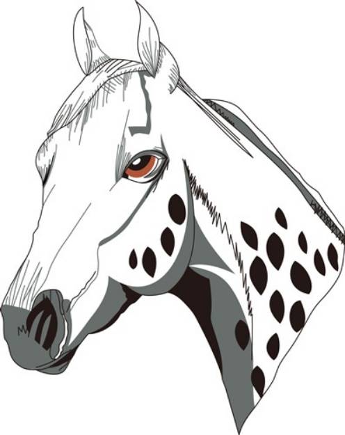 Picture of Appaloosa Head SVG File