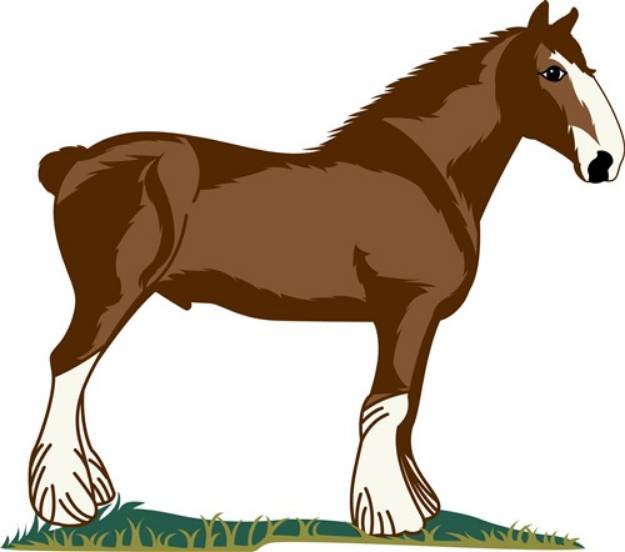 Picture of Clydesdale Horse SVG File