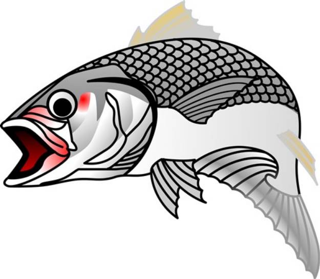 Picture of Striped Bass SVG File