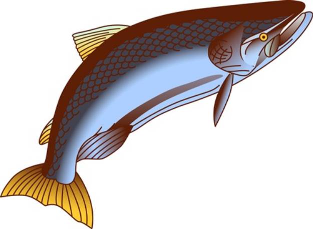 Picture of King Salmon SVG File