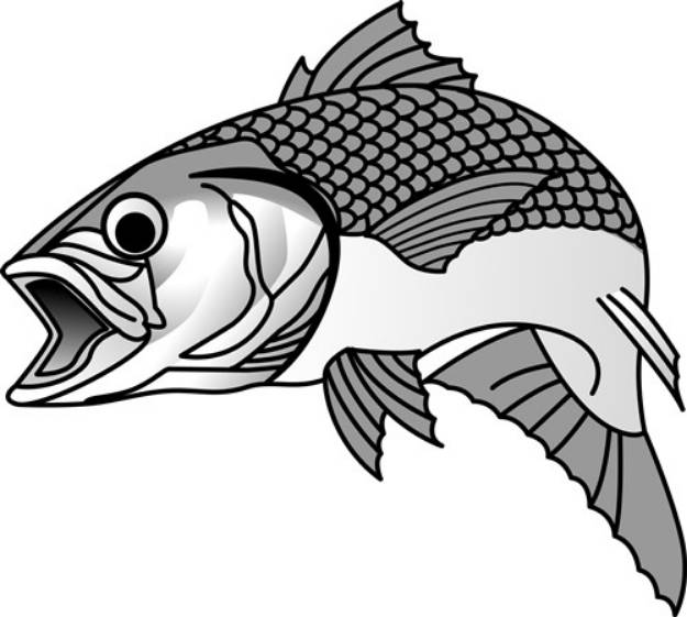 Picture of Striped Bass SVG File
