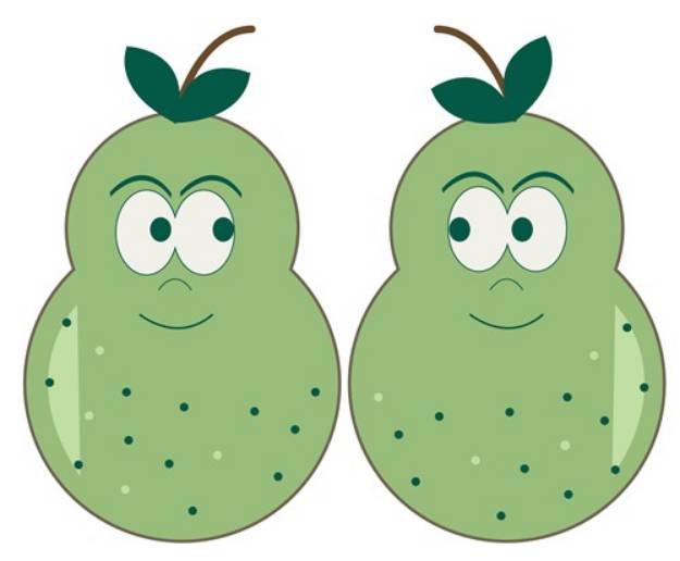 Picture of Pair of Pears SVG File
