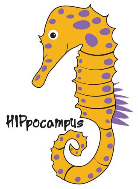 Picture of Hippocampus SVG File