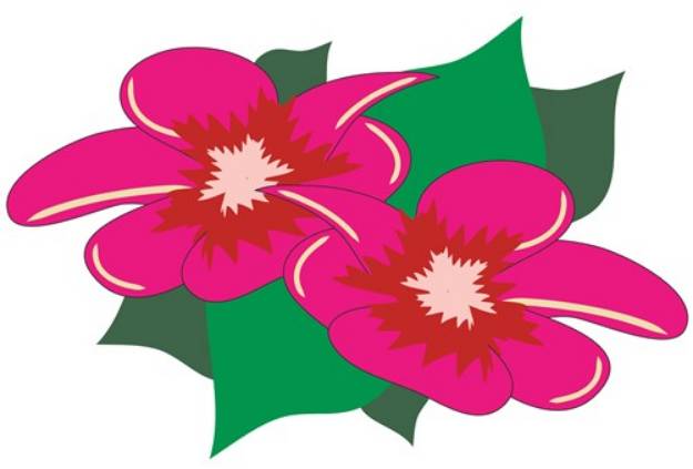 Picture of Hibiscus Flower SVG File