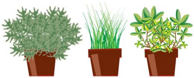 Picture of Potted Herbs SVG File