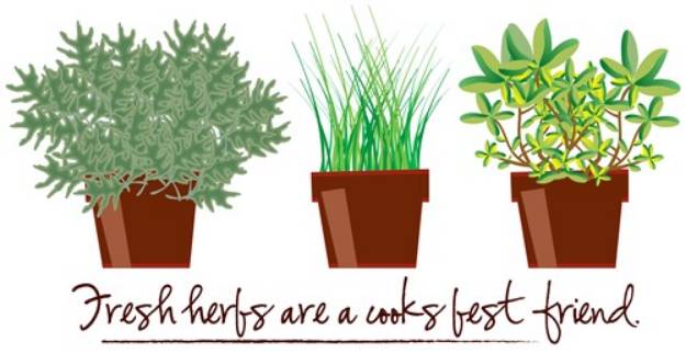 Picture of Fresh Herbs SVG File