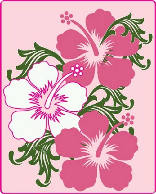 Picture of Framed Hibiscus SVG File