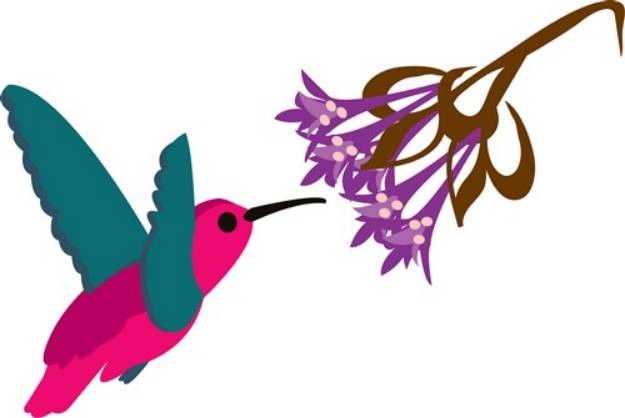 Picture of Feeding Hummingbird SVG File