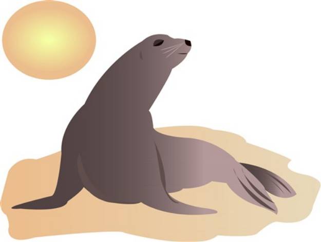 Picture of Sunbathing Sea Lion SVG File