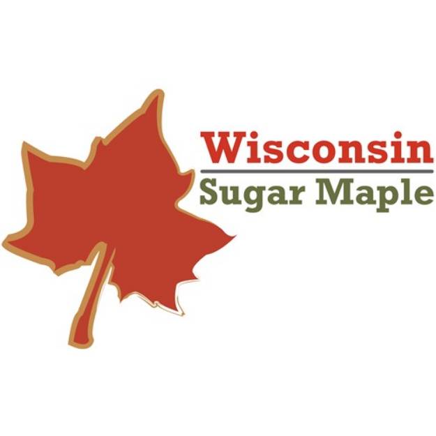 Picture of Sugar Maple SVG File