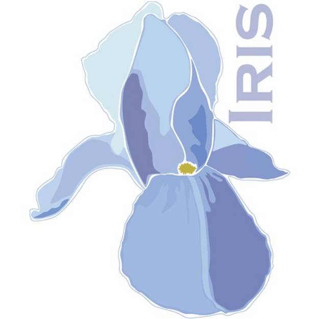 Picture of Blooming Iris SVG File